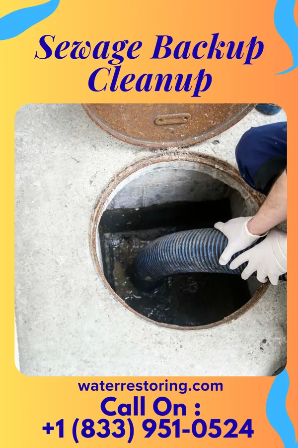 Sewage Backup Cleanup in Waterman, IL